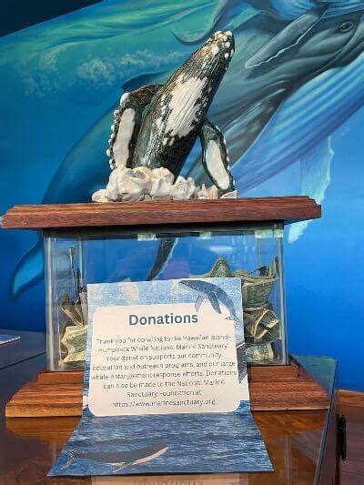 ocean charities to donate to.